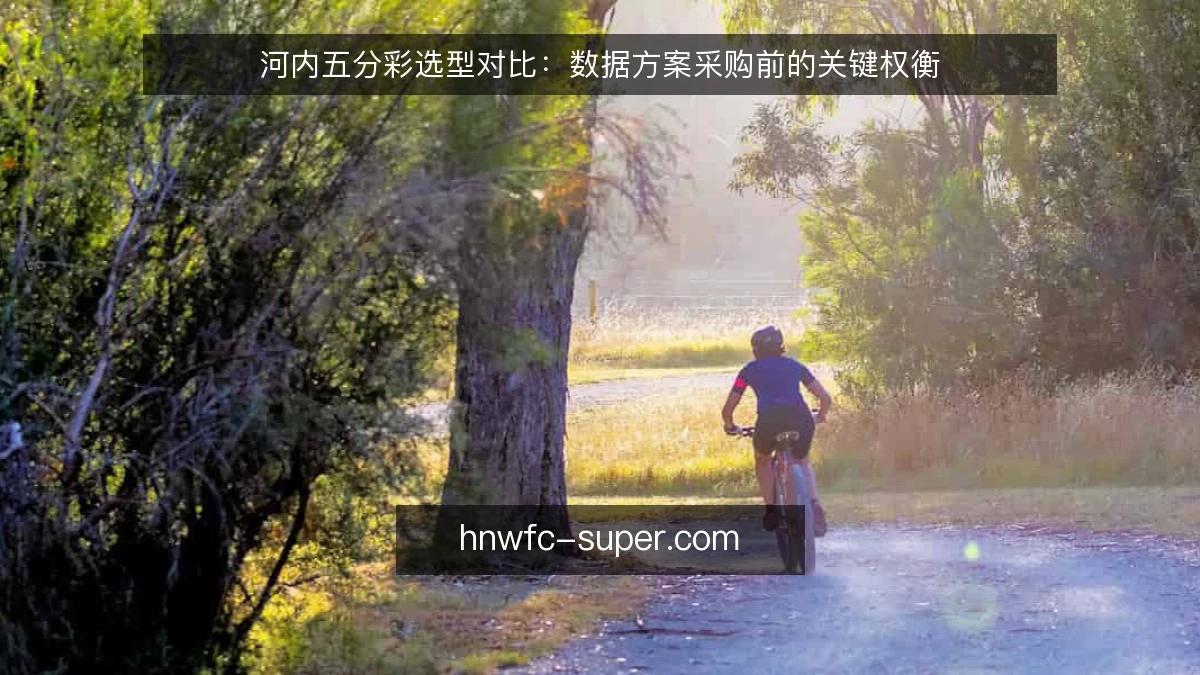 河内五分彩选型对比：数据方案采购前的关键权衡